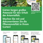 Gartendiv 2025