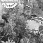 Bunte Wiese Stuttgart